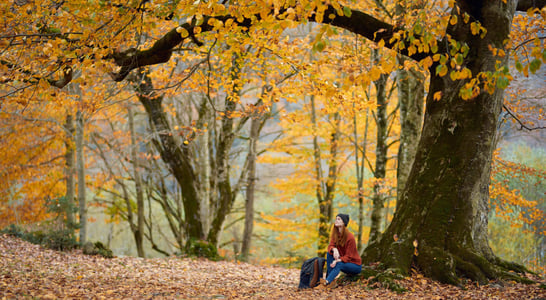 First Day of Autumn