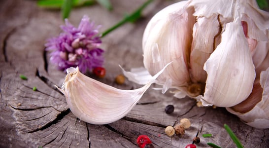 National Garlic Day