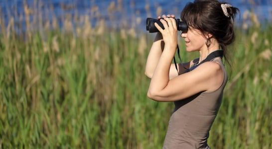 National Go Birding Day