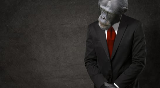 National Gorilla Suit Day