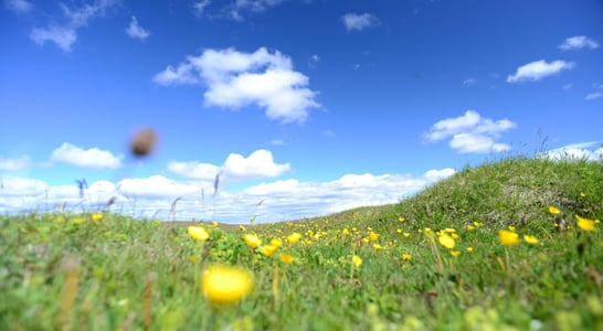 National Great Outdoors Month