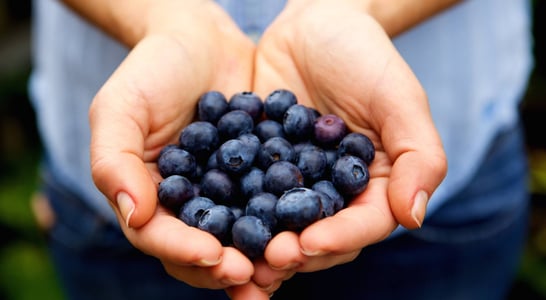 Pick Blueberries Day