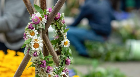 Haybuis Armenian Herb Festival