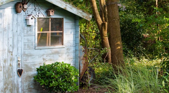 Hug A Shed And Take A Selfie Day