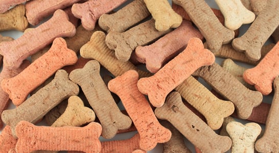 International Dog Biscuit Appreciation Day