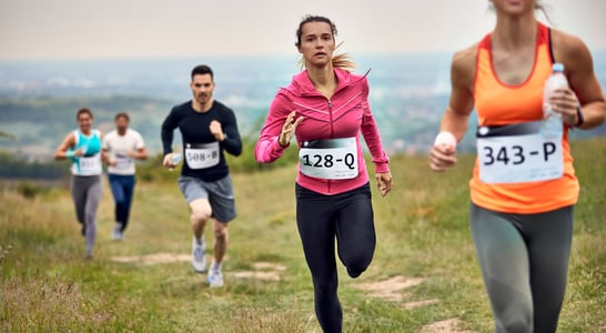 International Snowdon Race