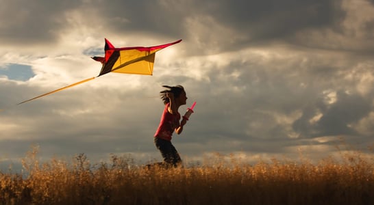 National Kite Flying Day