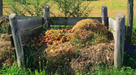 Learn About Composting Day