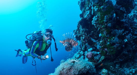 International Scuba Day