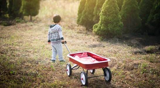 Little Red Wagon Day