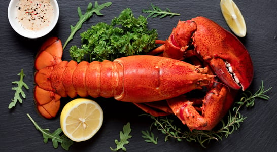 National Lobster Thermidor Day 