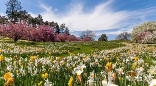 March Equinox