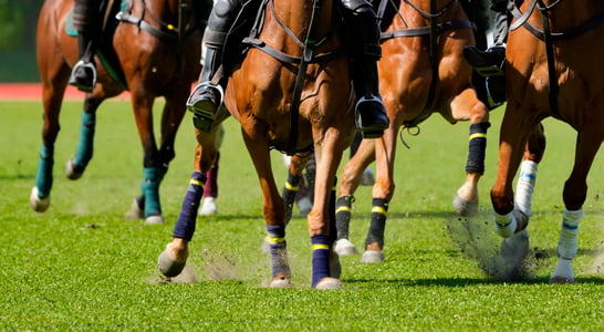 Melbourne Cup Day