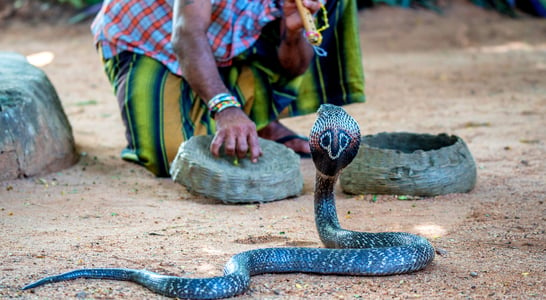 Nag Panchami