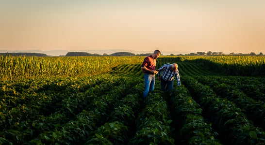 National Agriculture Day