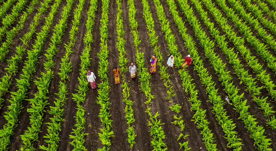 National Agriculture Week