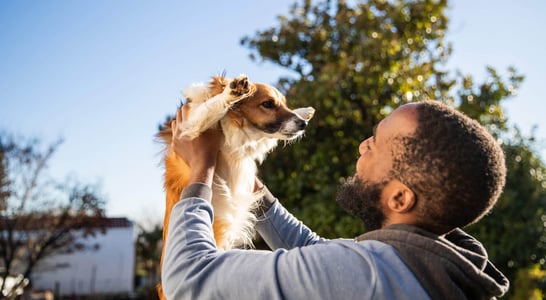 National AKC Responsible Dog Ownership Day