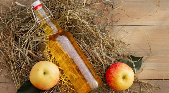 National Apple Cider Vinegar Day