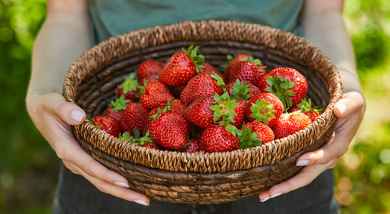 National California Strawberry Day