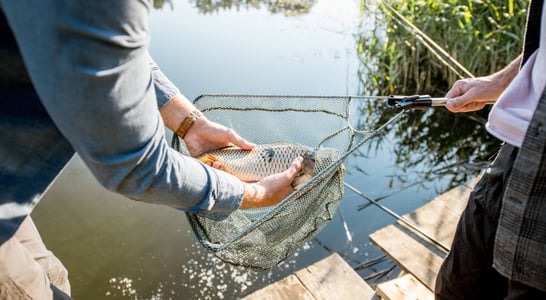 National Catch and Release Day