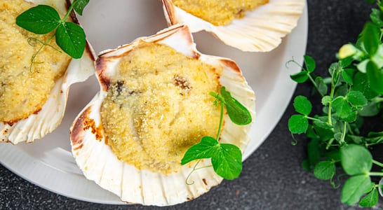 National Coquilles Saint Jacques Day