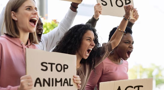 National Justice for Animals Week