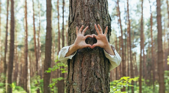 National Love a Tree Day