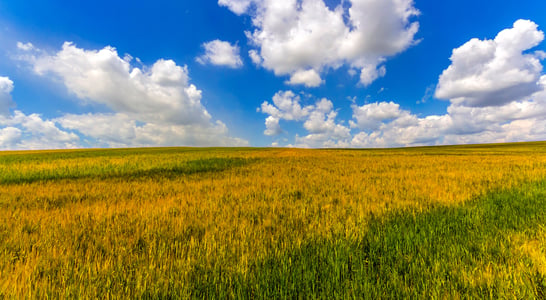 National Prairie Day