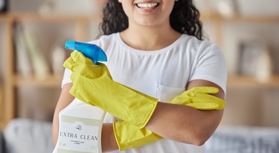 National Professional House Cleaners Day