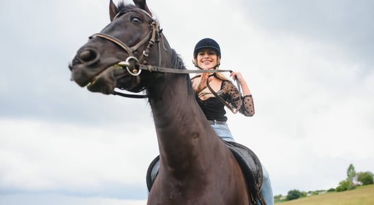 National Ride Your Horse to a Bar Day