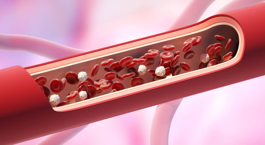 National Triglycerides Day