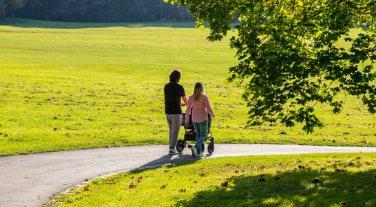 National Walk to a Park Day