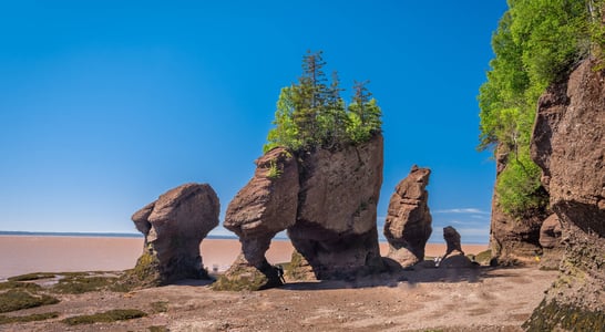 New Brunswick Day