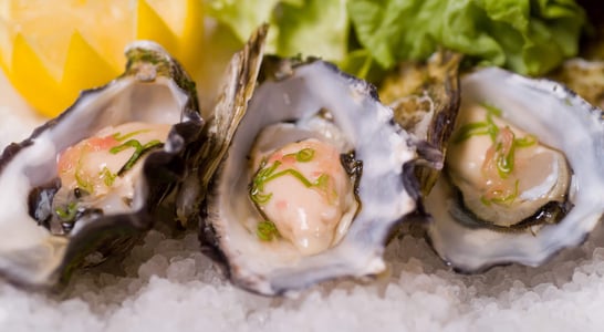 National Oyster Day