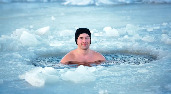 Polar Bear Plunge Day