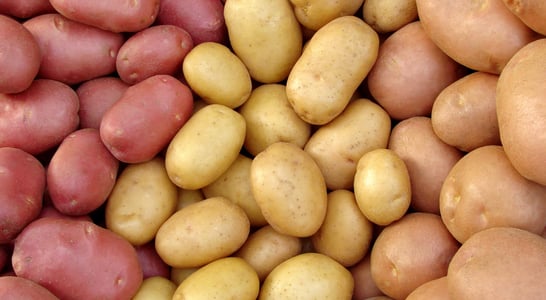 National Potato Day