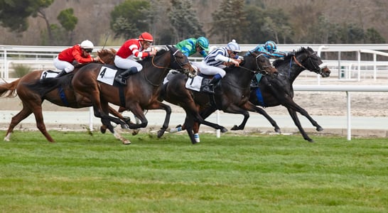 Preakness Stakes