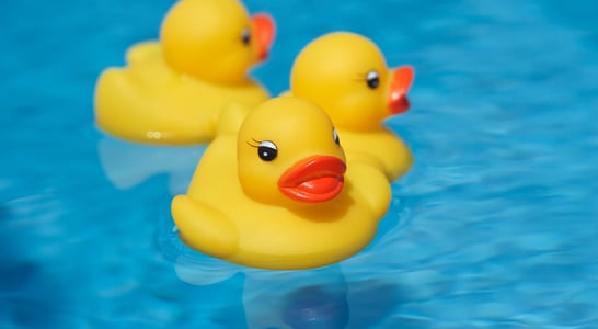 National Rubber Ducky Day