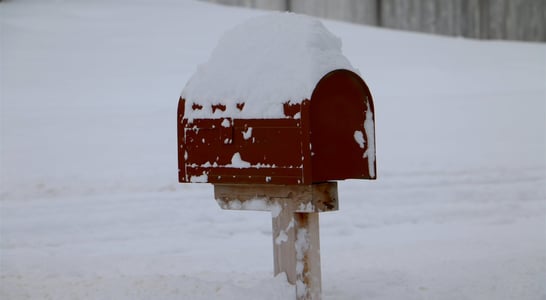 Snowplow Mailbox Hockey Day