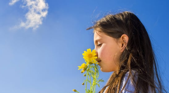 National Sense Of Smell Day