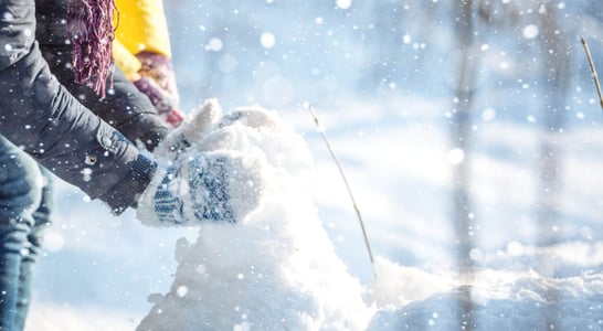 Snow Sculpting Week