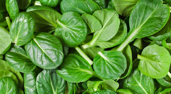 National Spinach Day