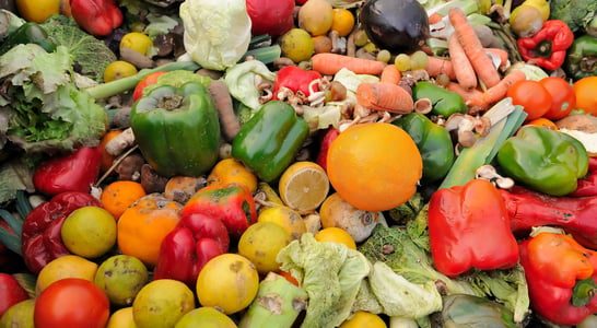 Stop Food Waste Day