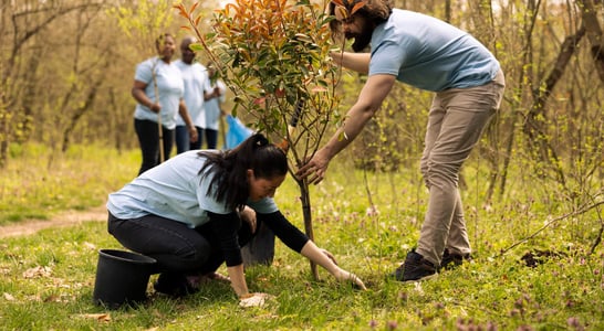 National Tree Week