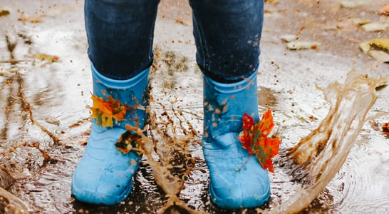 Gumboot Friday