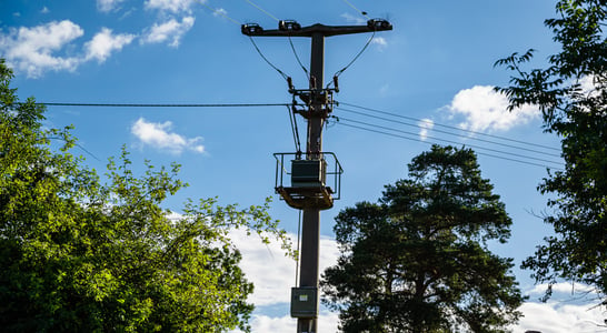 Telegraph Pole Appreciation Day