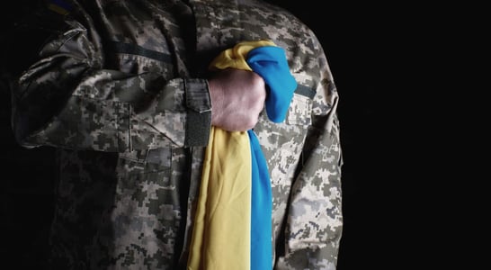 Ukraine Defender Day