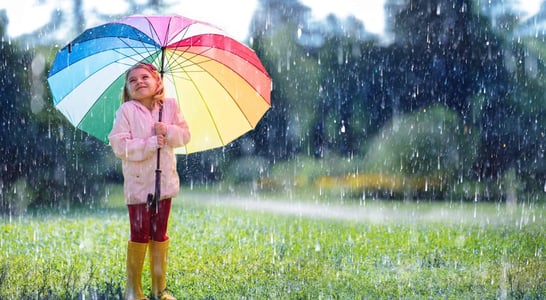 Umbrella Cover Day