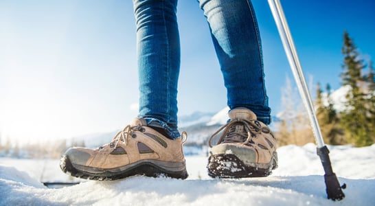 US Snowshoe Day