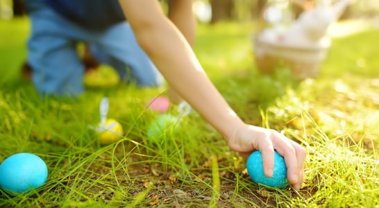 White House Easter Egg Roll